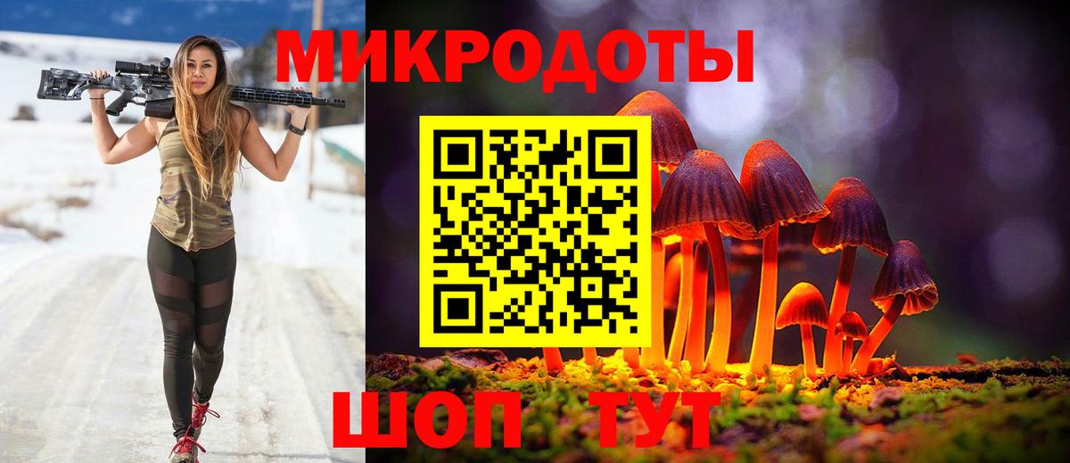 Галлюциногенные грибы Psilocybine cubensis Старый Оскол